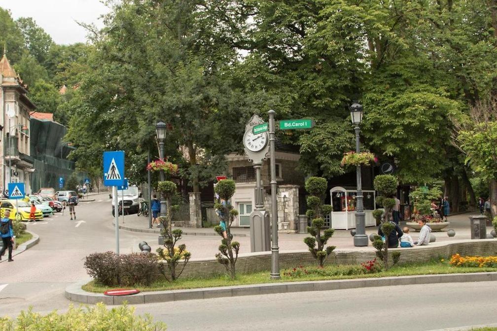 Central Park View Sinaia Exterior foto