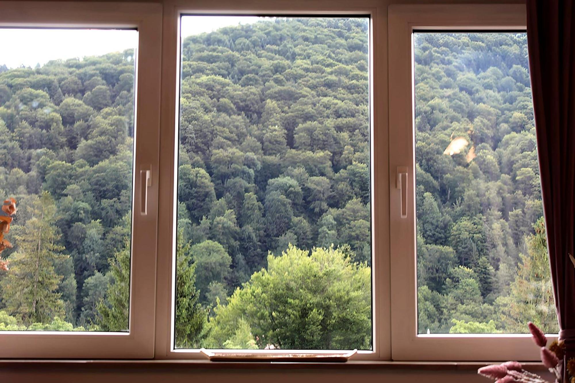 Central Park View Sinaia Exterior foto